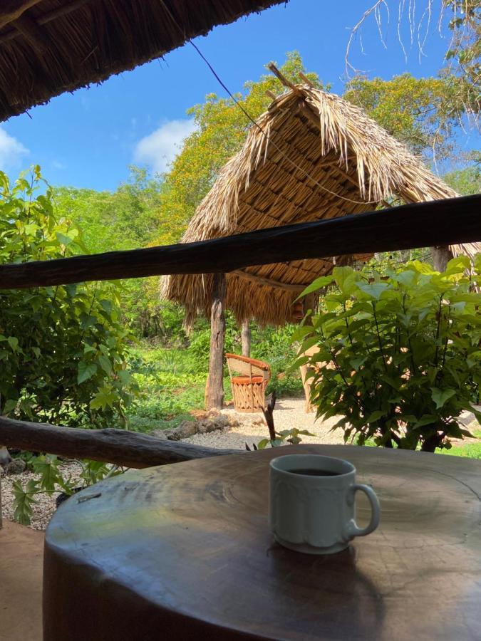 Encantadora Villa Maya Tradicional En Rancho Agroecologico Tzucacab Екстер'єр фото