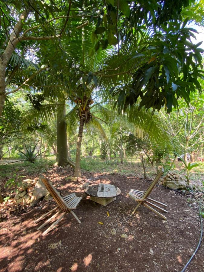 Encantadora Villa Maya Tradicional En Rancho Agroecologico Tzucacab Екстер'єр фото