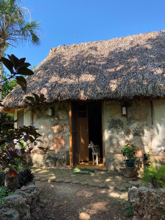 Encantadora Villa Maya Tradicional En Rancho Agroecologico Tzucacab Екстер'єр фото