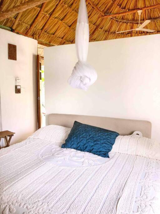Encantadora Villa Maya Tradicional En Rancho Agroecologico Tzucacab Екстер'єр фото