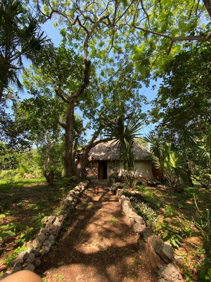 Encantadora Villa Maya Tradicional En Rancho Agroecologico Tzucacab Екстер'єр фото