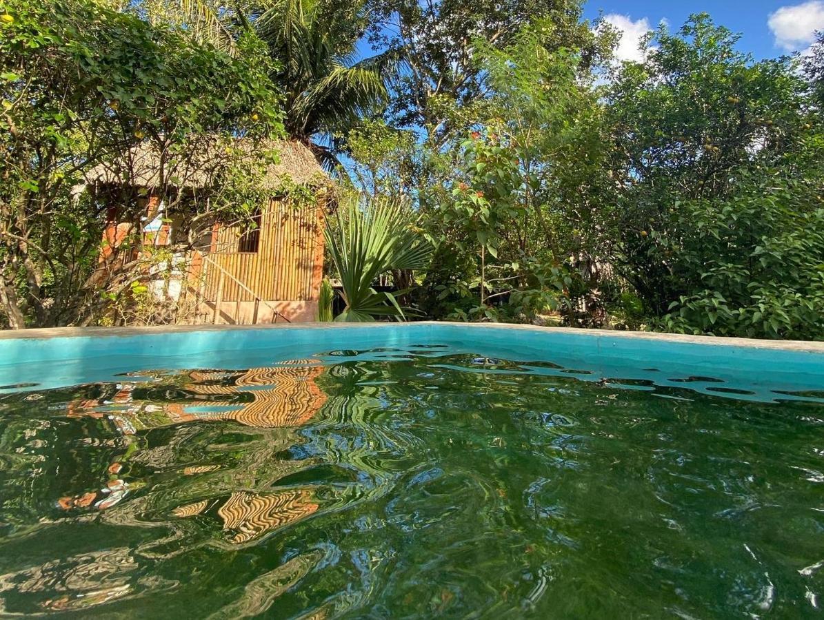 Encantadora Villa Maya Tradicional En Rancho Agroecologico Tzucacab Екстер'єр фото