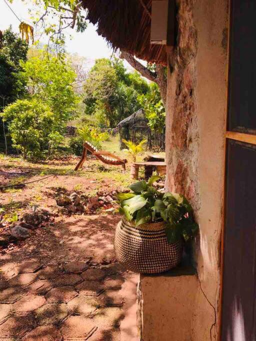 Encantadora Villa Maya Tradicional En Rancho Agroecologico Tzucacab Екстер'єр фото