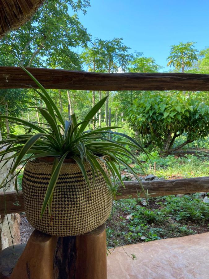 Encantadora Villa Maya Tradicional En Rancho Agroecologico Tzucacab Екстер'єр фото