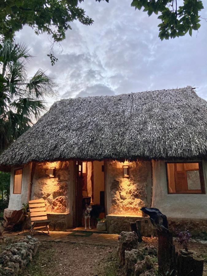 Encantadora Villa Maya Tradicional En Rancho Agroecologico Tzucacab Екстер'єр фото