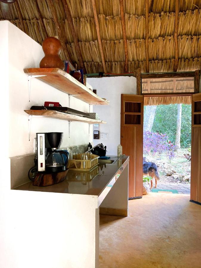 Encantadora Villa Maya Tradicional En Rancho Agroecologico Tzucacab Екстер'єр фото