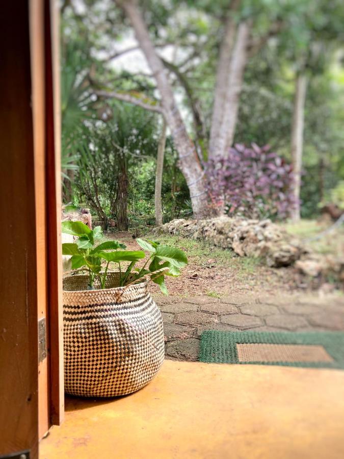 Encantadora Villa Maya Tradicional En Rancho Agroecologico Tzucacab Екстер'єр фото